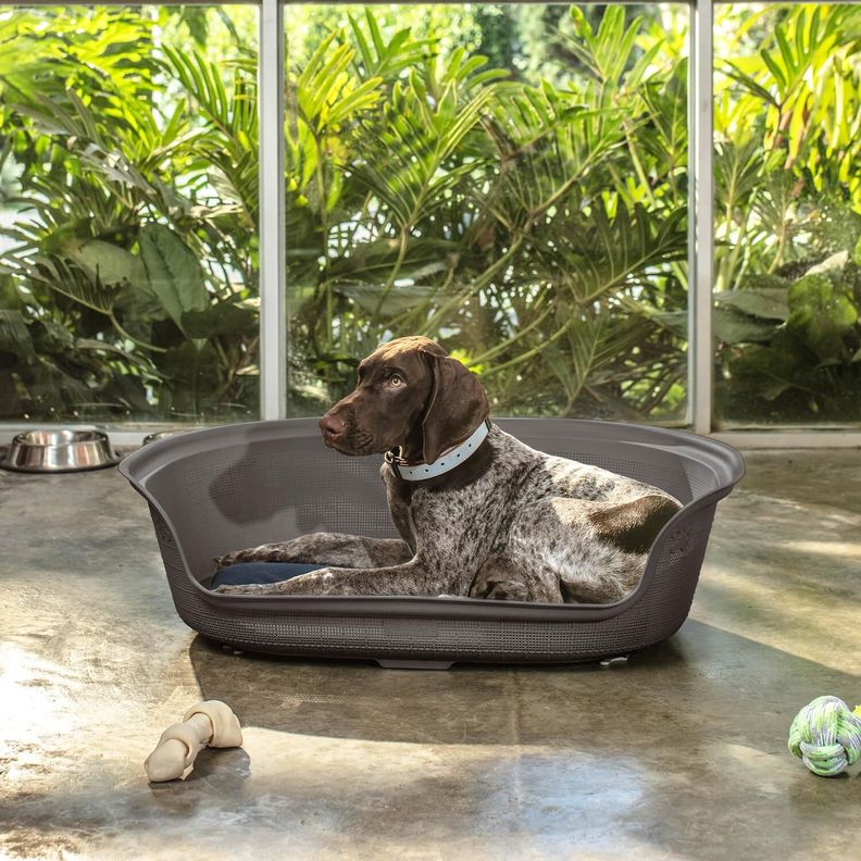 Cama de Mascota Plastico con Cojin Café 77x54x23 cm Rimax-1