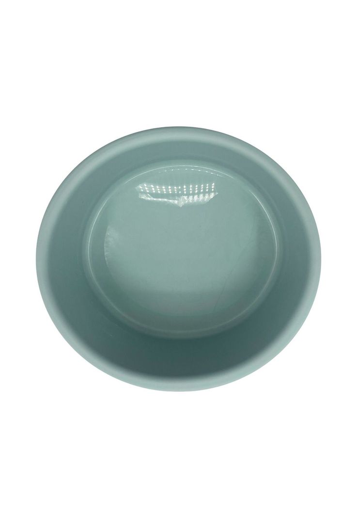 Plato Comedero Bebedero Para Mascota 1 L Menta Cool Pets-3