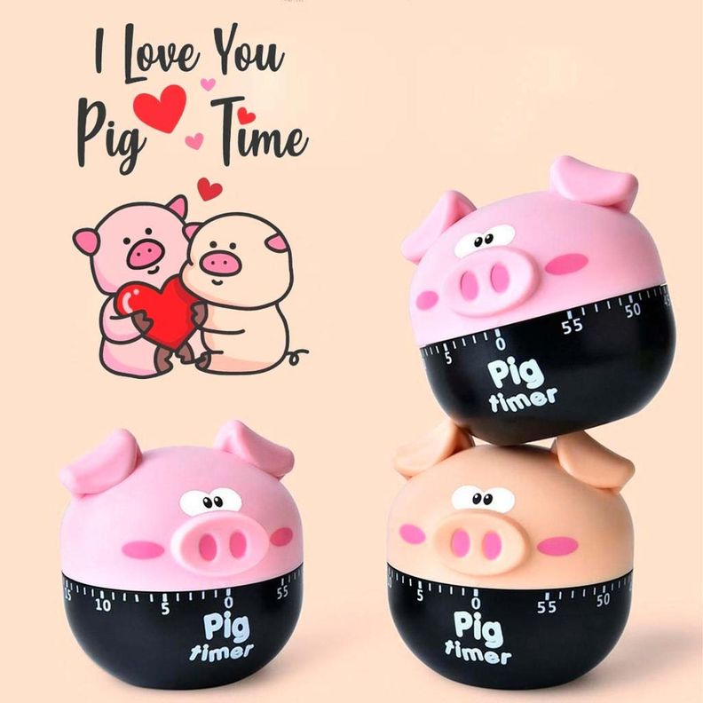 Timer Chancho Cocina Reloj Temporizador A Cuerda-4