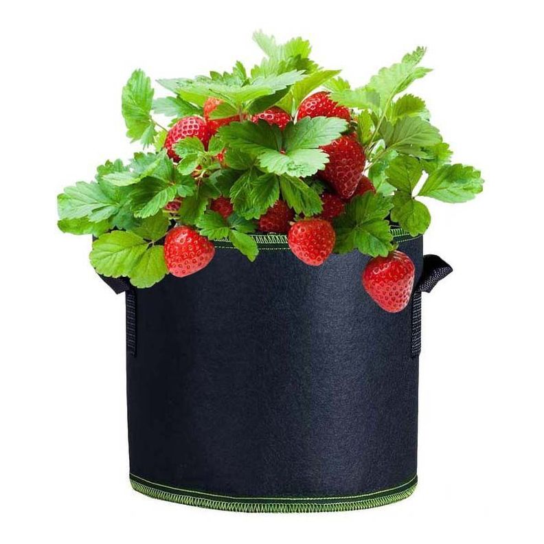Pack de 5 maceteros de tela geotextil 30 cm 18 Litros-0