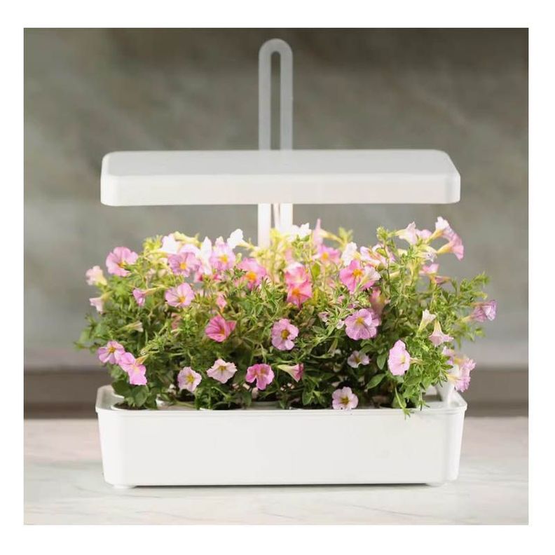 Sistema de cultivo hidropónico 10 plantas con luz de crecimiento-3