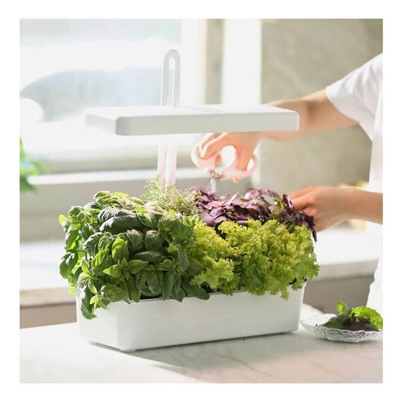 Sistema de cultivo hidropónico 10 plantas con luz de crecimiento-6