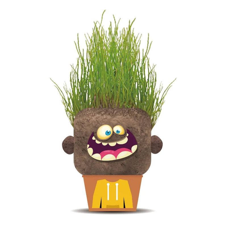Plant Pals - Happy Hank Hape Verde