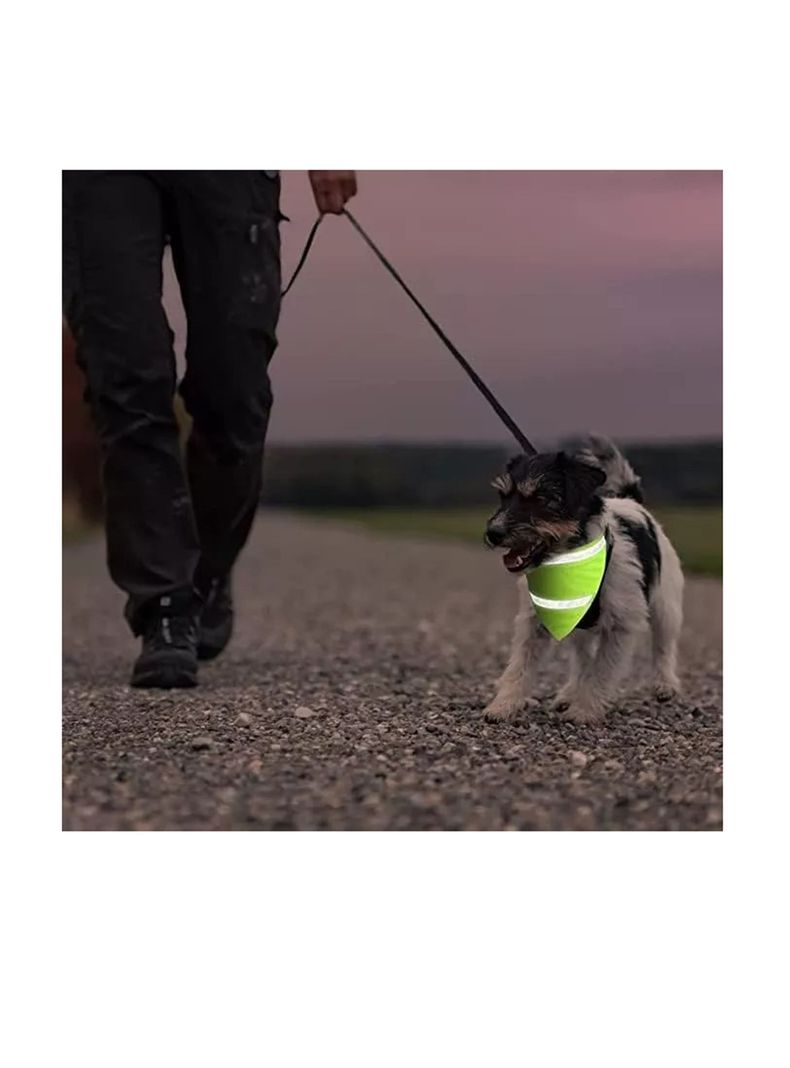 Bandana Reflectante Para Perros Y Gatos. Pañoleta De Mascota-1