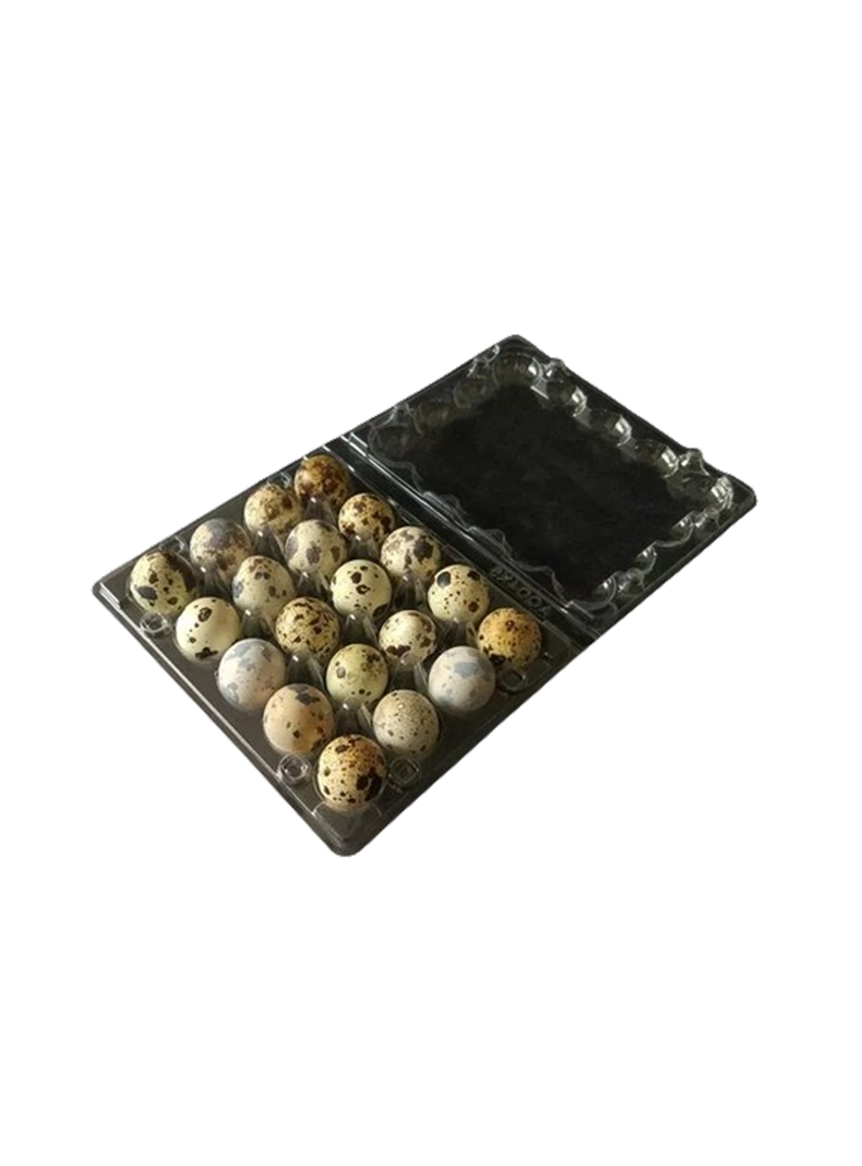 Cajas Bandejas de Plástico de 24 Huevos de Codorniz-2