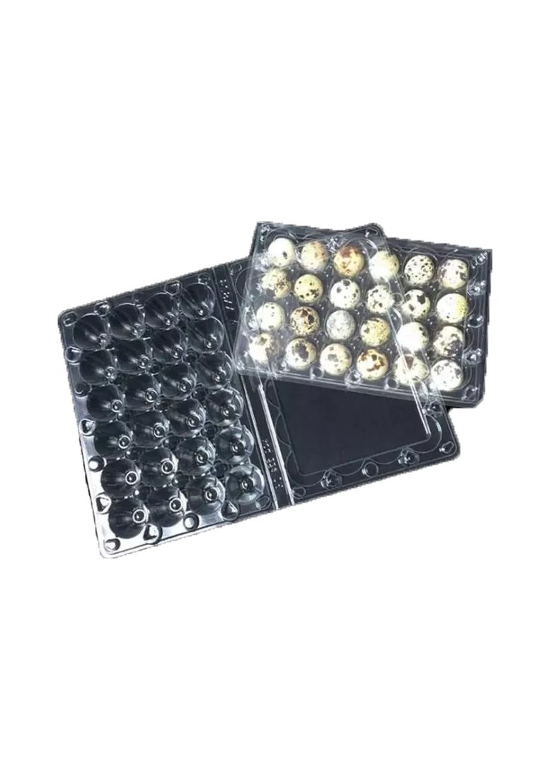 Cajas Bandejas de Plástico de 24 Huevos de Codorniz-3