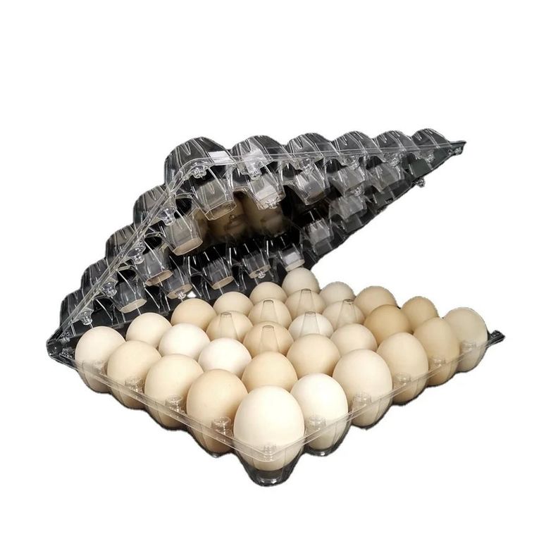 Pack 600 Bandejas Envases Plástico Para 30 Huevos PET