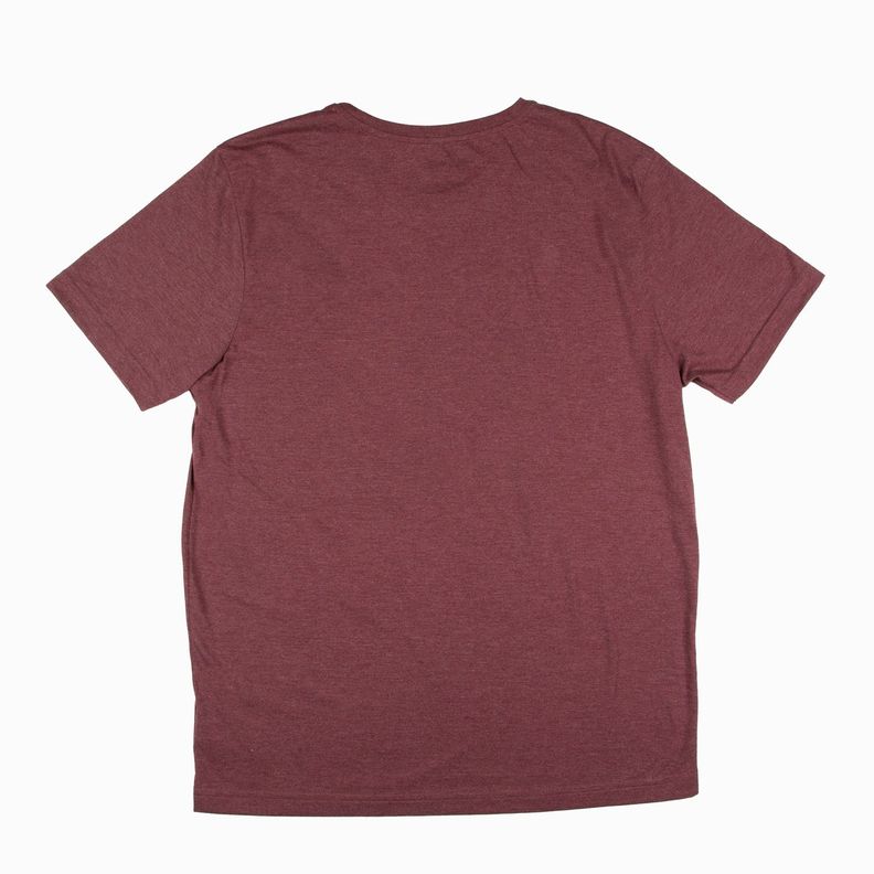 Polera Hombre Gryffindor Burdeo Harry Potter-1