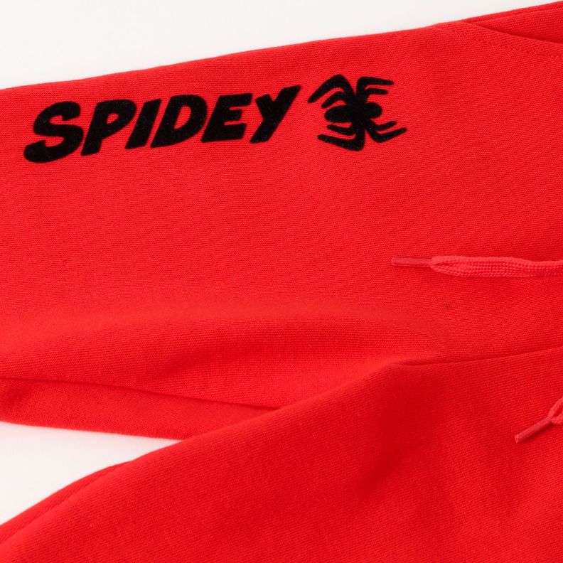 Conjunto Niño Spidey Swinging Gris Marvel-2