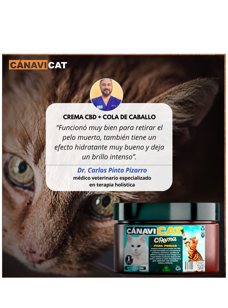 Crema CBD cola de Caballo para Peinado-1