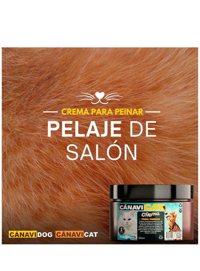 Crema CBD cola de Caballo para Peinado-2