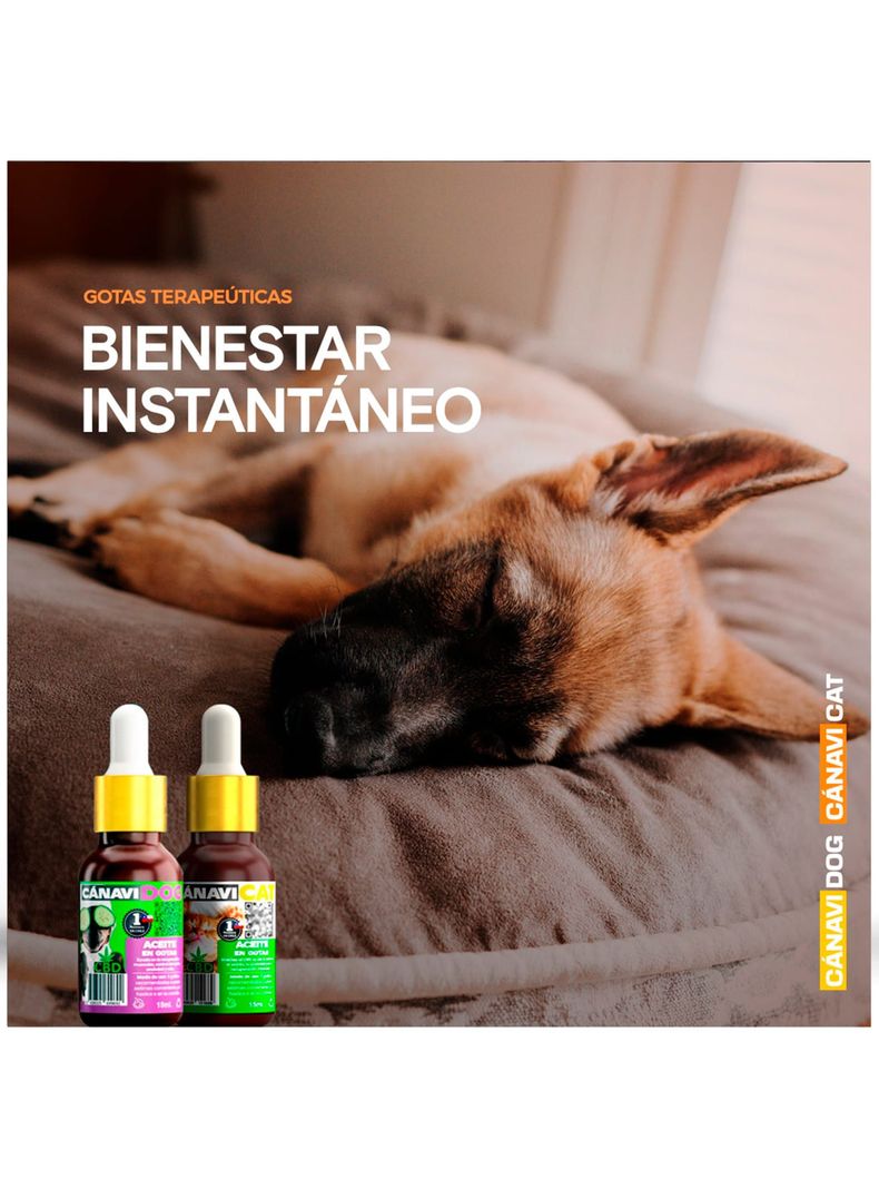 GOTAS PARA PERROS-2