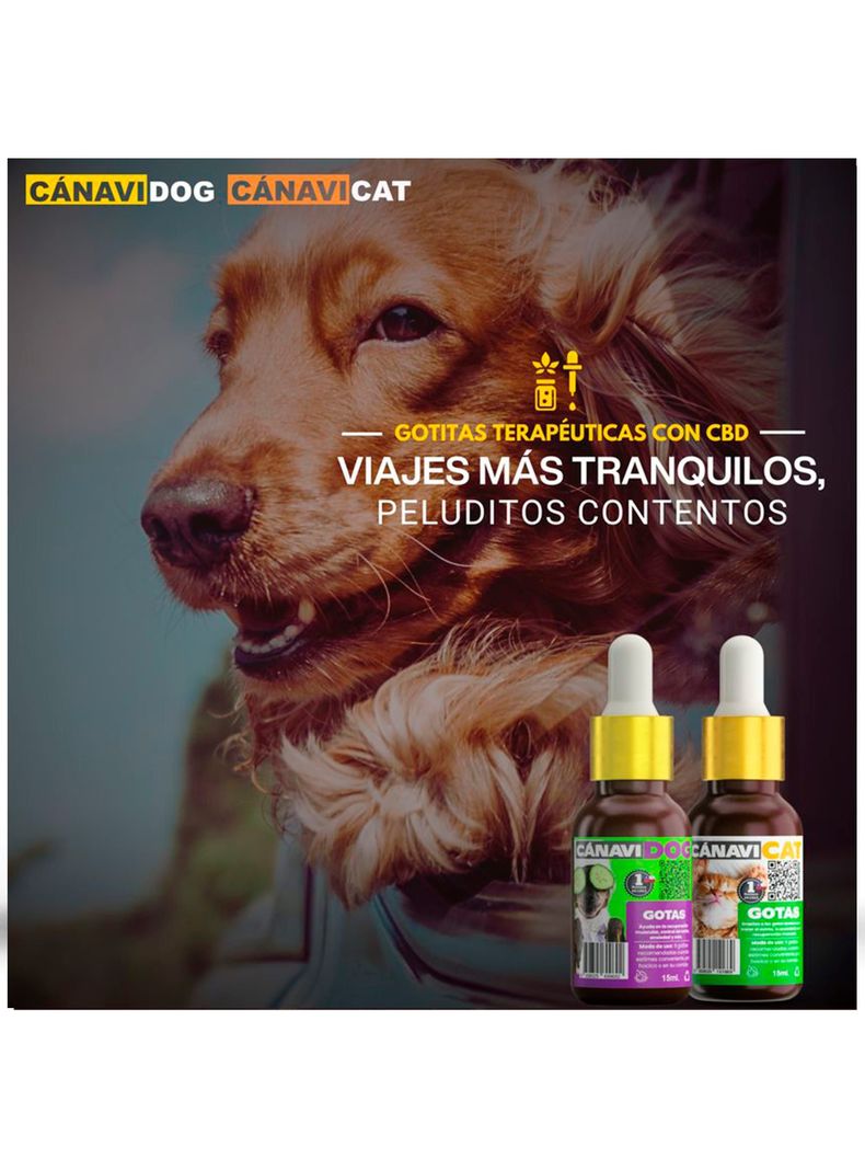 GOTAS PARA PERROS-3