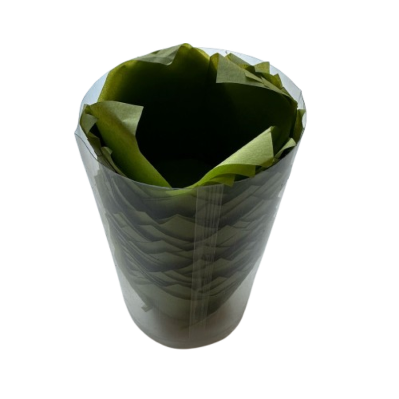 Tulipa Para Muffin Verde 50 un-1