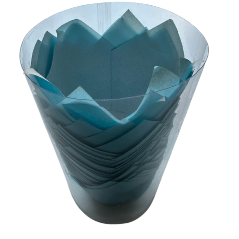 Tulipa Para Muffin Celeste 50 un-1
