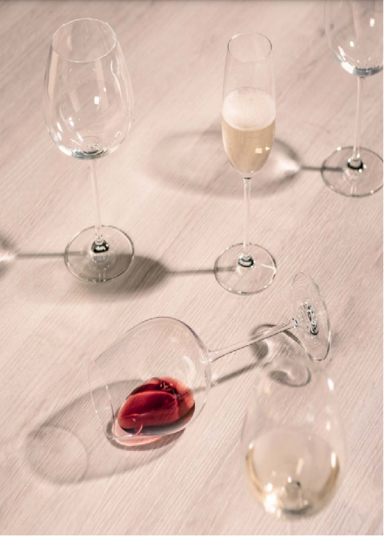 Set 6 Copas de Cristal para Champagne Tulip 231 cc Schott Zwiesel-1