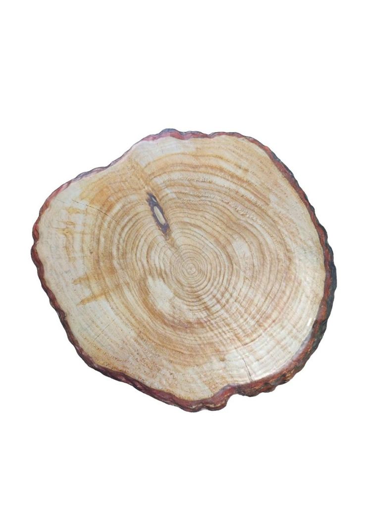 TABLA MELAMINA COLOR MADERA 33x30CM-2
