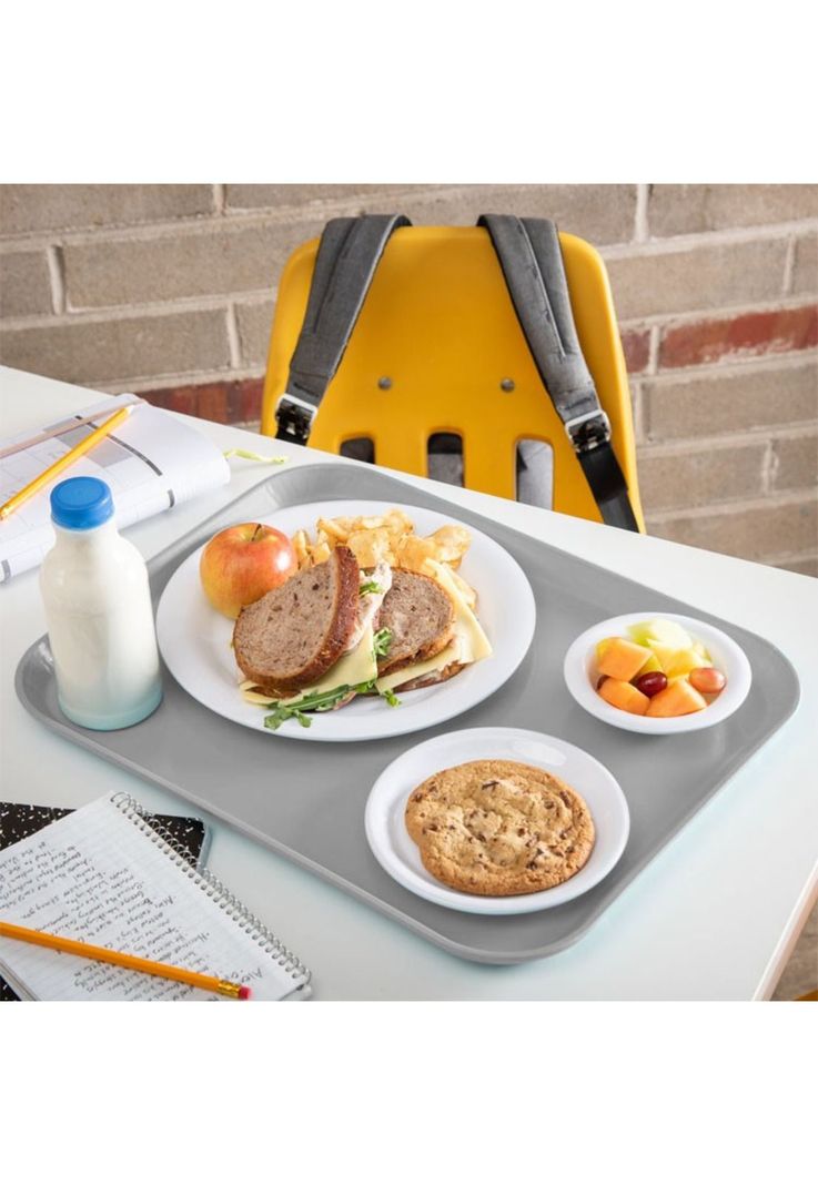BANDEJA FIBRA DE VIDRIO 35 x 45 CM GRIS-1