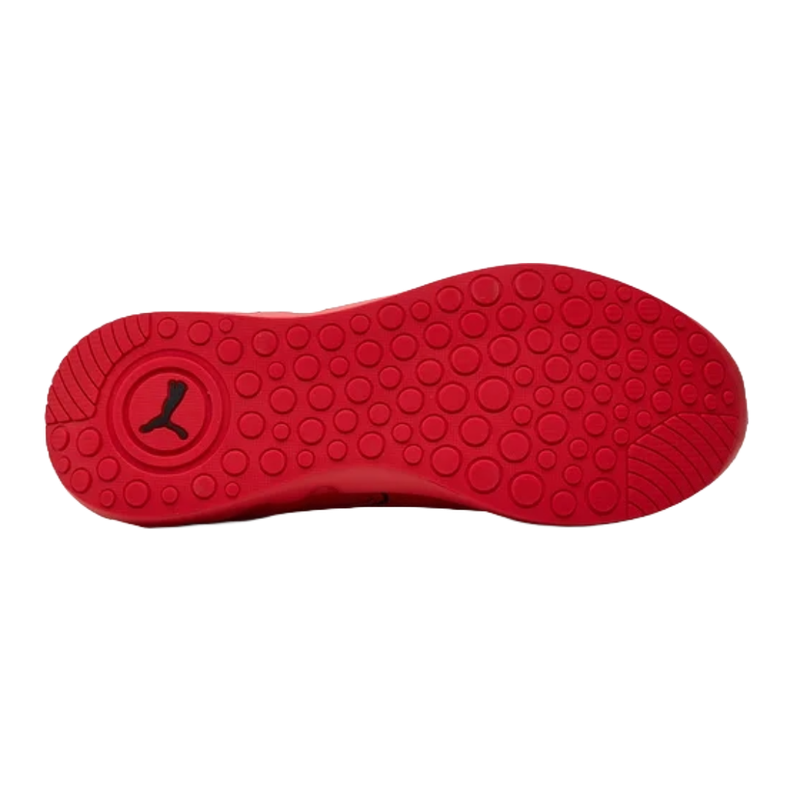 ZAPATILLAS RUNNING PUMA SOFTRIDE CARSON | 310154 03-2