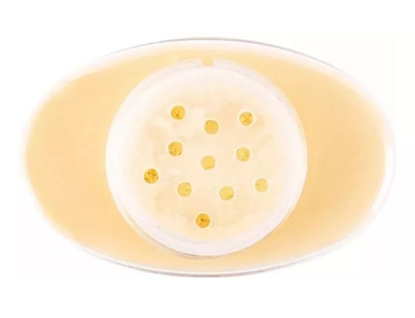 Polvos Sueltos Traslucido Banana Beauty Creations-1