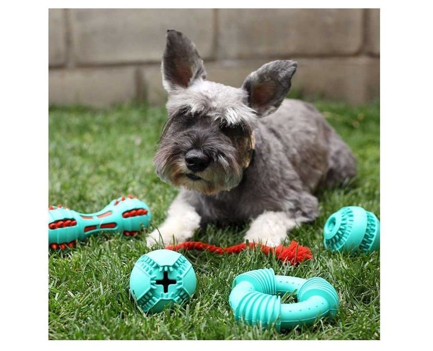 Juguete Para Perro Pelota Dispensadora De Premios 8cm-1