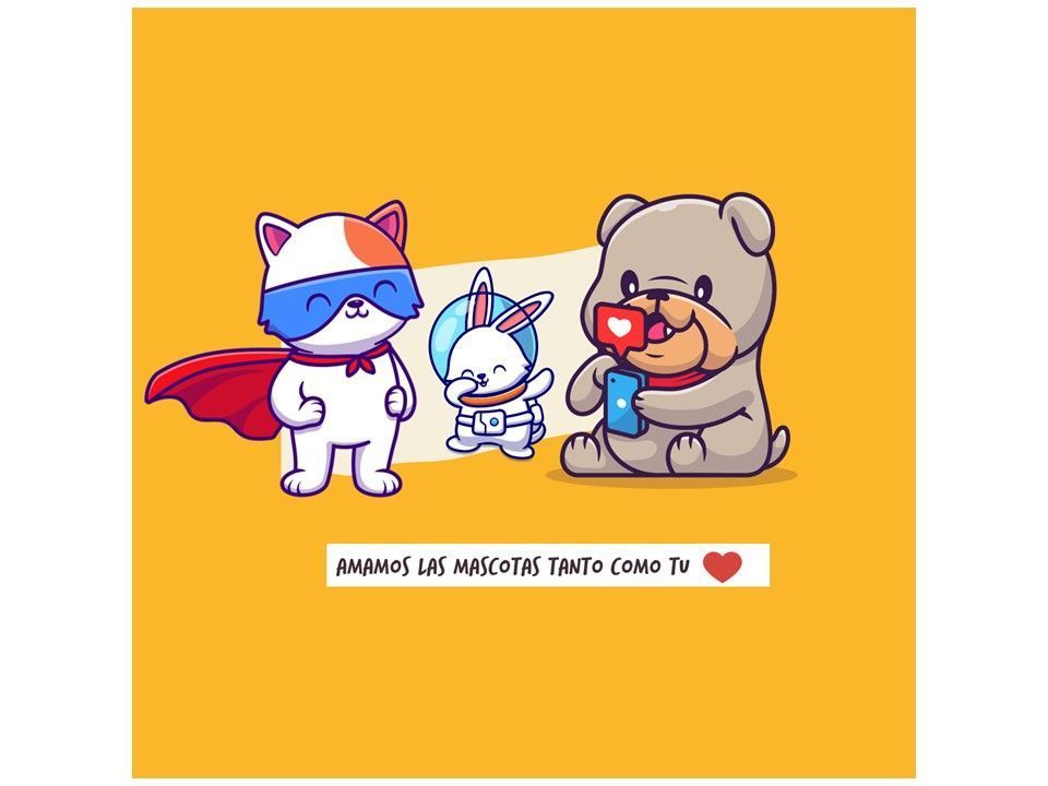 Super Repelente Para Perro Y Gato 5 Litros-1