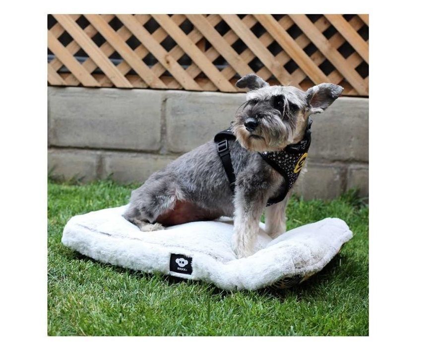 Cama Mascota Perro Gato Colchon Anti Estres 60x40cm Talla S-1