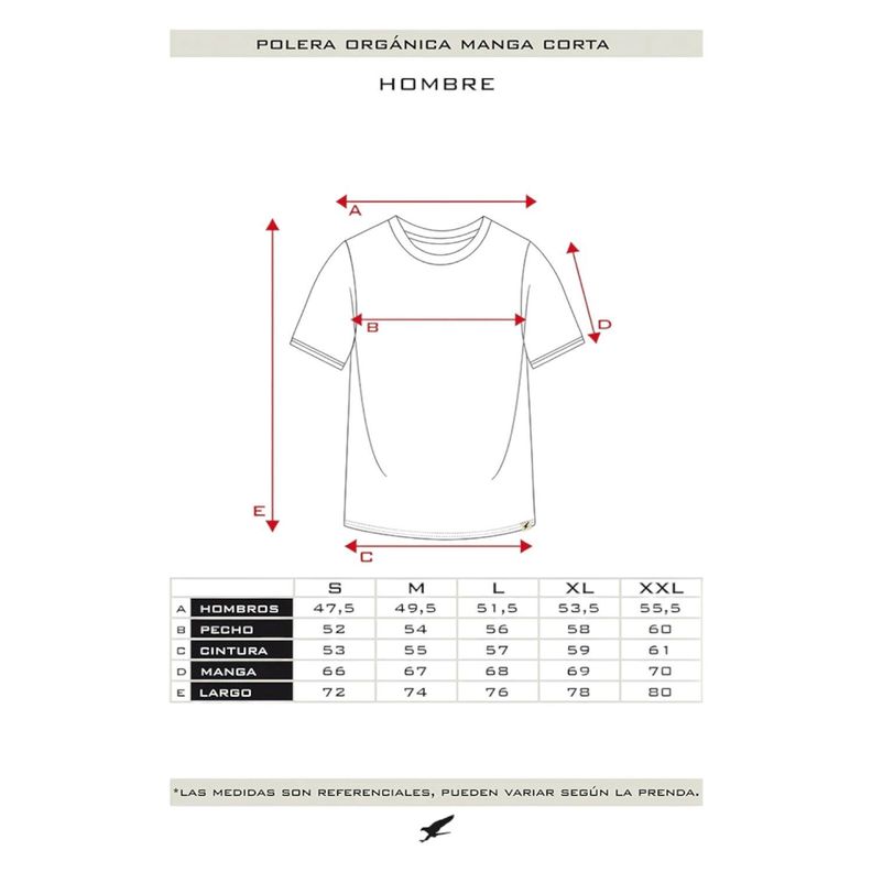Polera Orgánica con Bolsillo Hombre Falcone-4