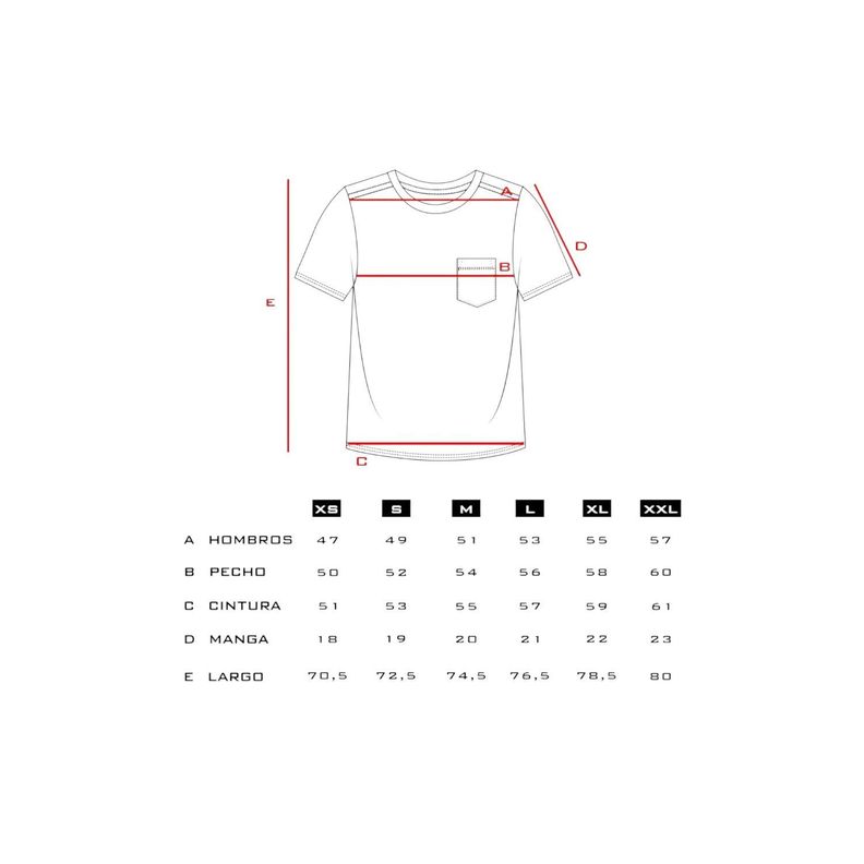 Polera Orgánica Acid-Wash Rectangular Logo Hombre Falcone-3