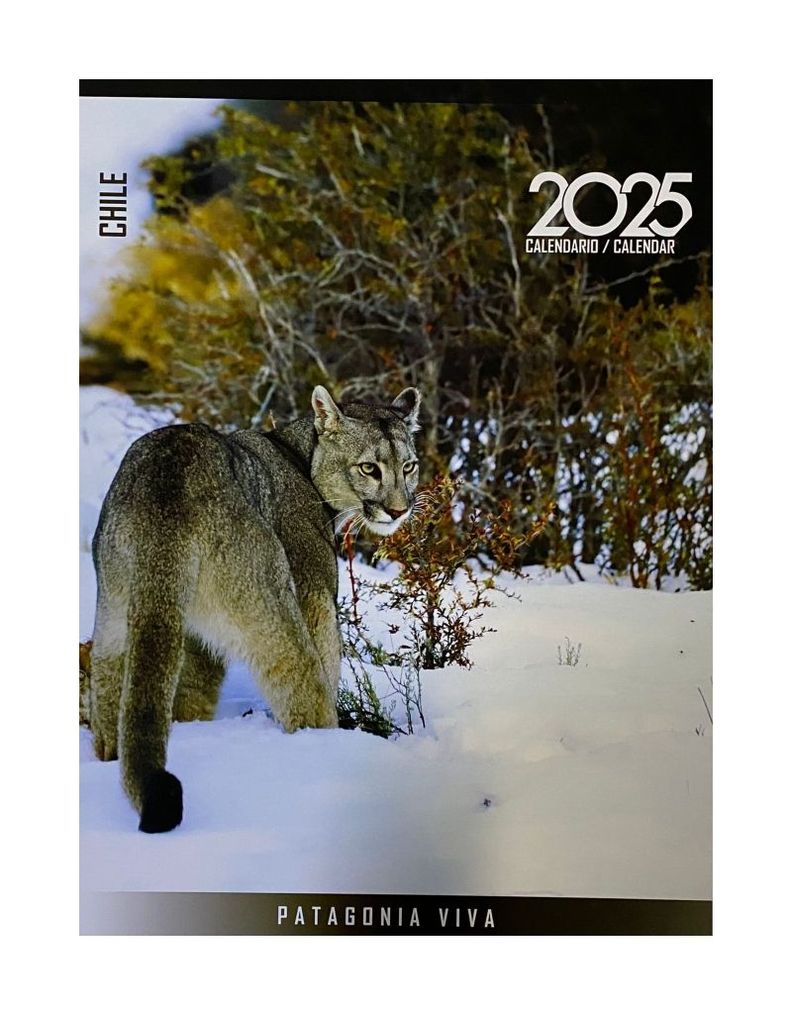 Calendario Pared 2025 Patagonia Viva | Repopack | 962-0