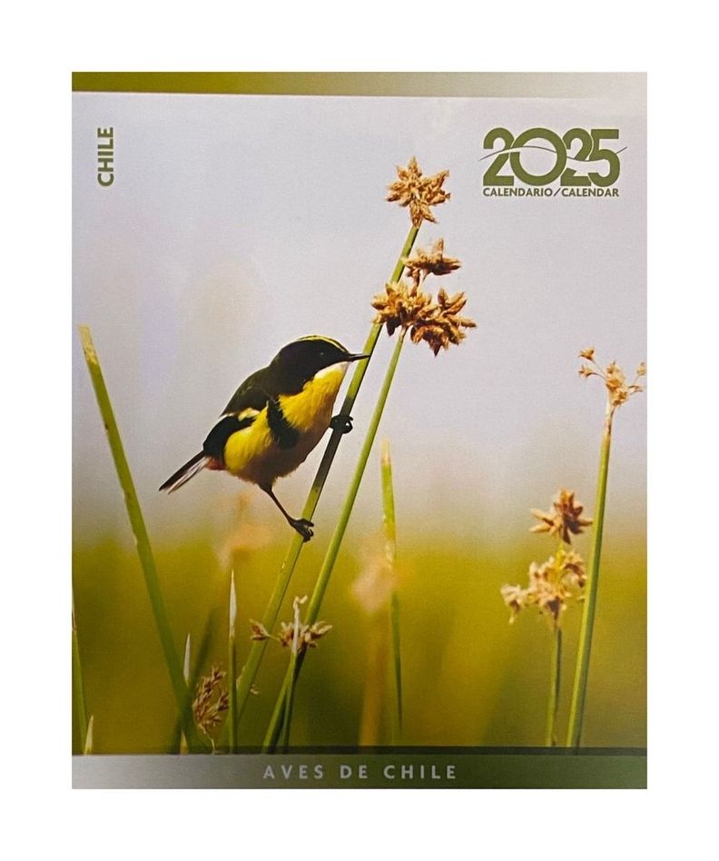 Calendario Escritorio Aves De Chile 2025 | Varios Autores-0