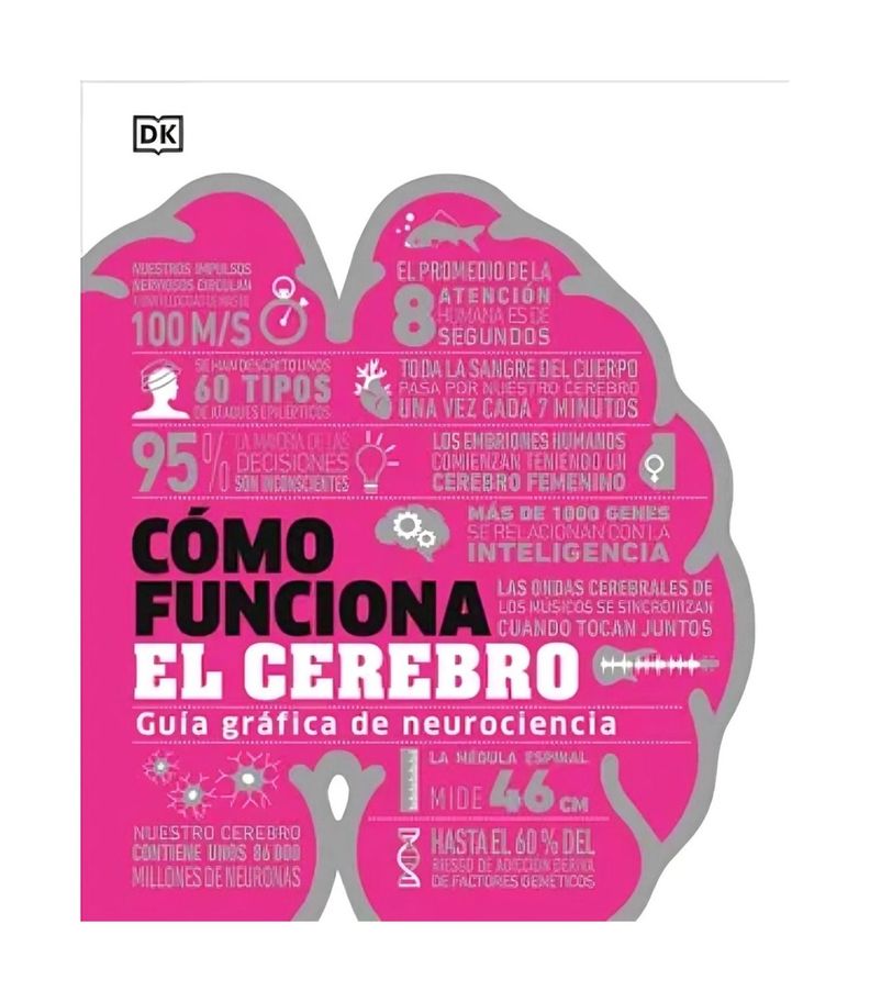 Cómo Funciona El Cerebro | Infantil |-0
