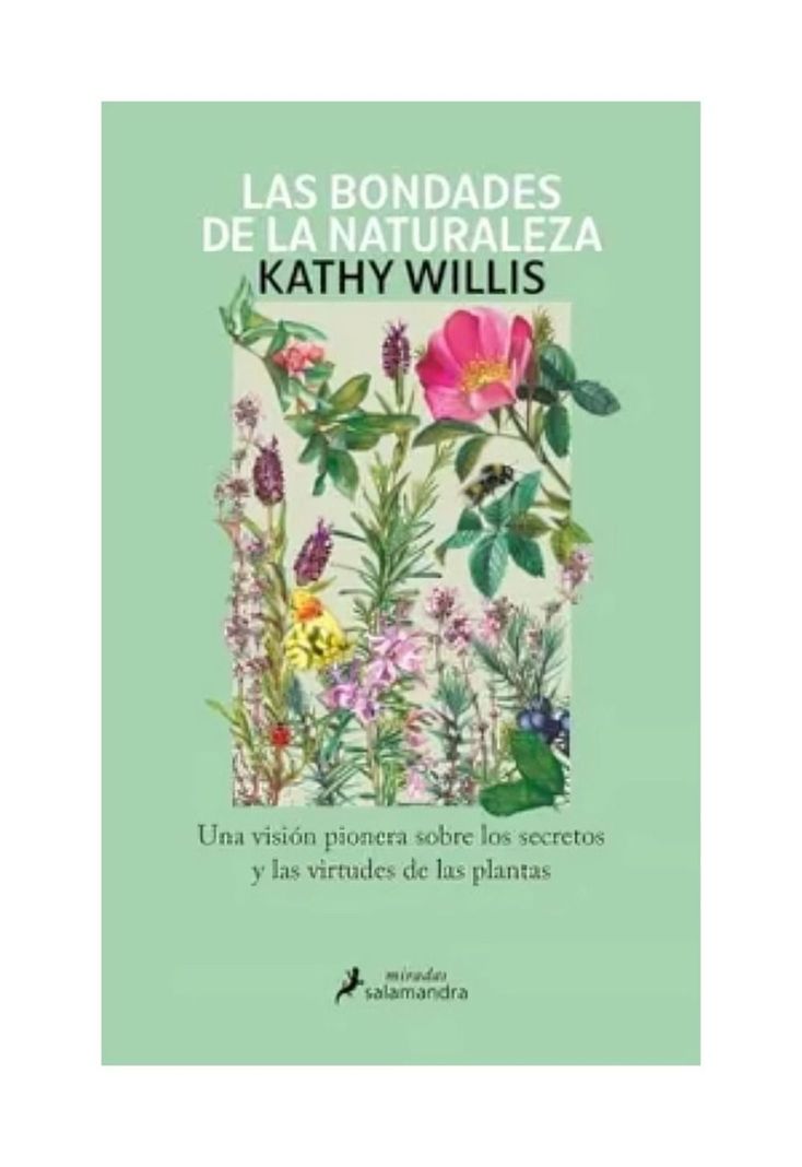 KATHY WILLIS