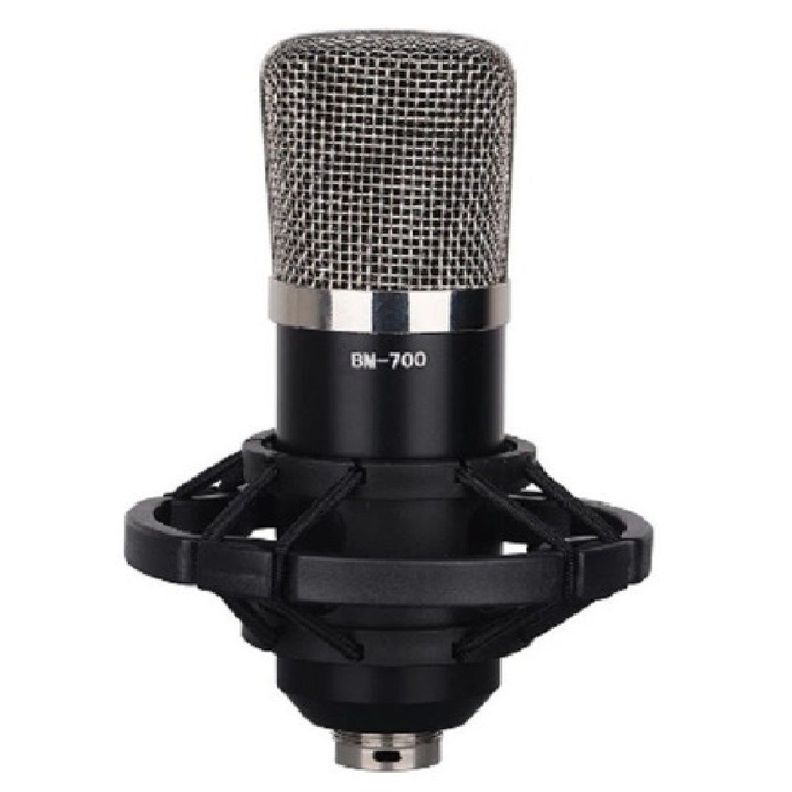 Kit Micrófono Estudio Condensador Profesional B29-0