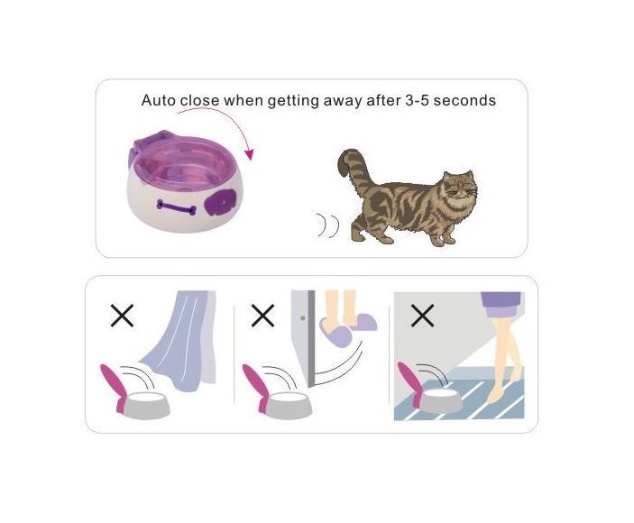 Auto Dish Bowl - Plato para mascotas Small-1
