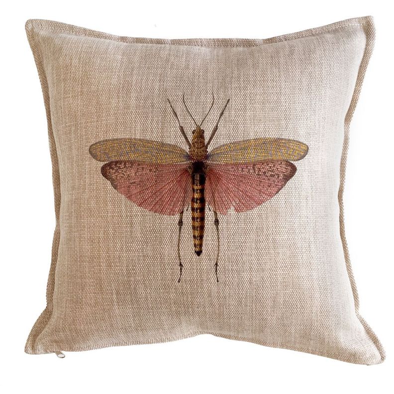 Cojín  Antique Fly 45x45