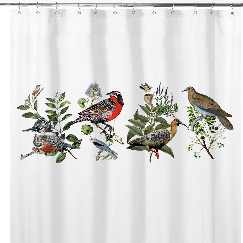 Cortina de Baño Pajaros Nativos-0