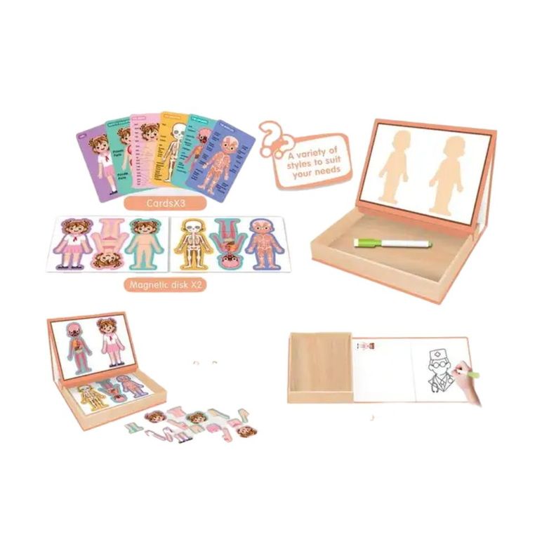 Caja de Aprendizaje Cuerpo Humano Magnética con Pizarra-1