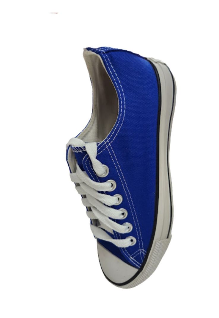 Zapatilla Urbana de Lona Azul -2