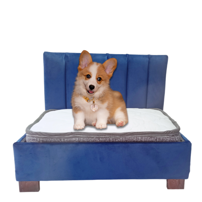 Cama Mascota 60x50-0