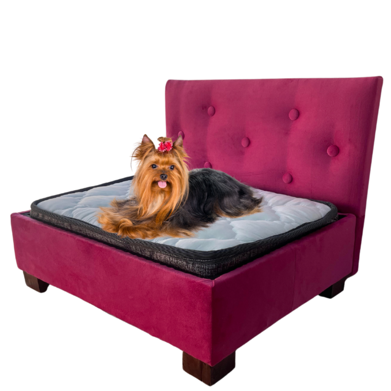 Cama Mascota 60x50nmodelo botone-0