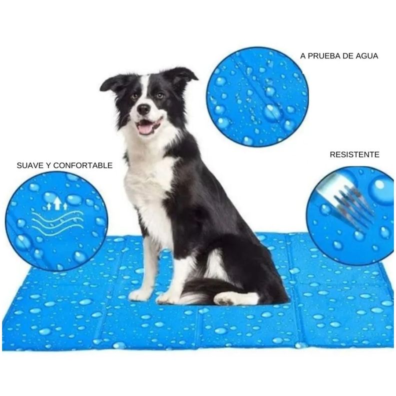 Alfombra Manta Refrescante Talla M Para Mascotas Petcool Mat-1