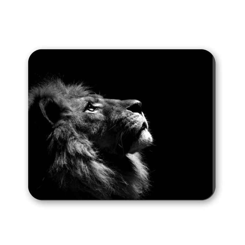 MOUSE PAD ANHIZ M125V3 LEON-0