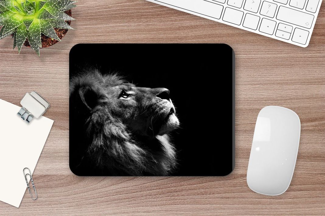 MOUSE PAD ANHIZ M125V3 LEON-1