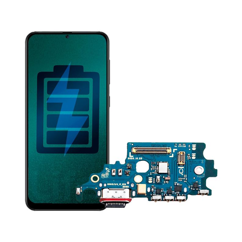 Flex de Carga para Samsung S21 Plus Conector Tipo C-0