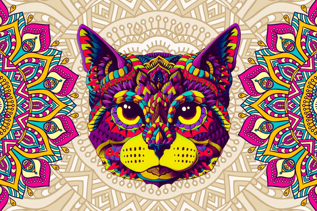 Pack de 6 individuales Gato Mándala-0