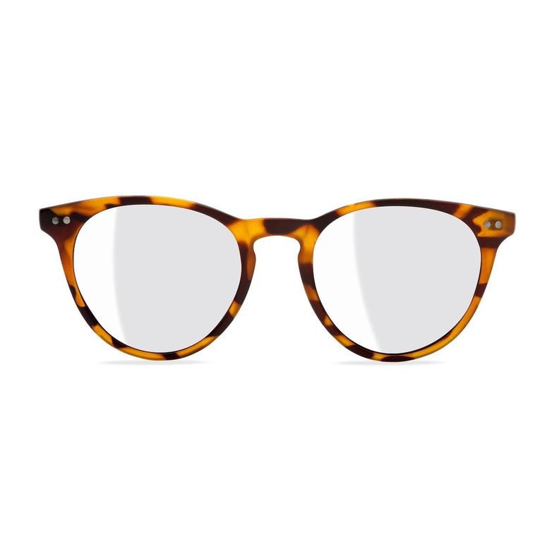 LENTES DE LECTURA W.A.R LAKE TORTOISE 1.0-0