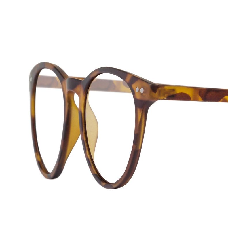 LENTES DE LECTURA W.A.R LAKE TORTOISE 1.0-3