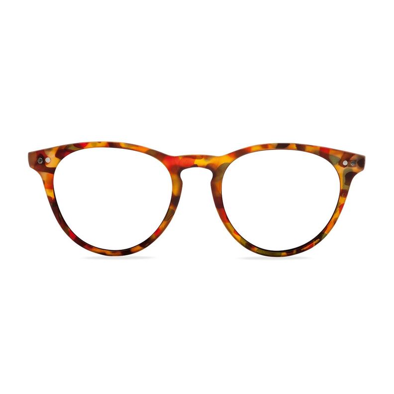 LENTES DE LECTURA W.A.R LAKE TORTOISE BLUE-0