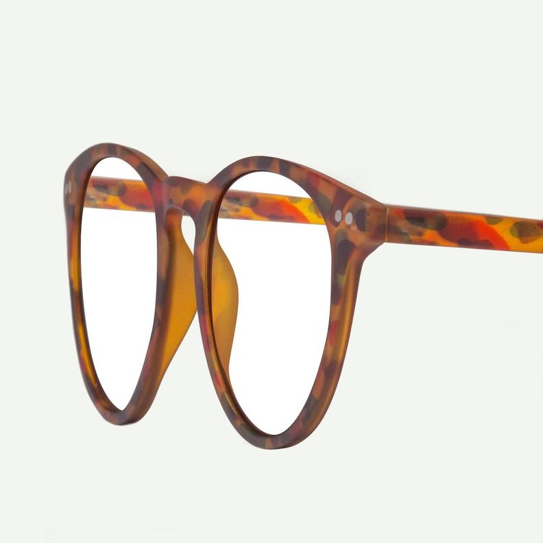 LENTES DE LECTURA W.A.R LAKE TORTOISE BLUE-3